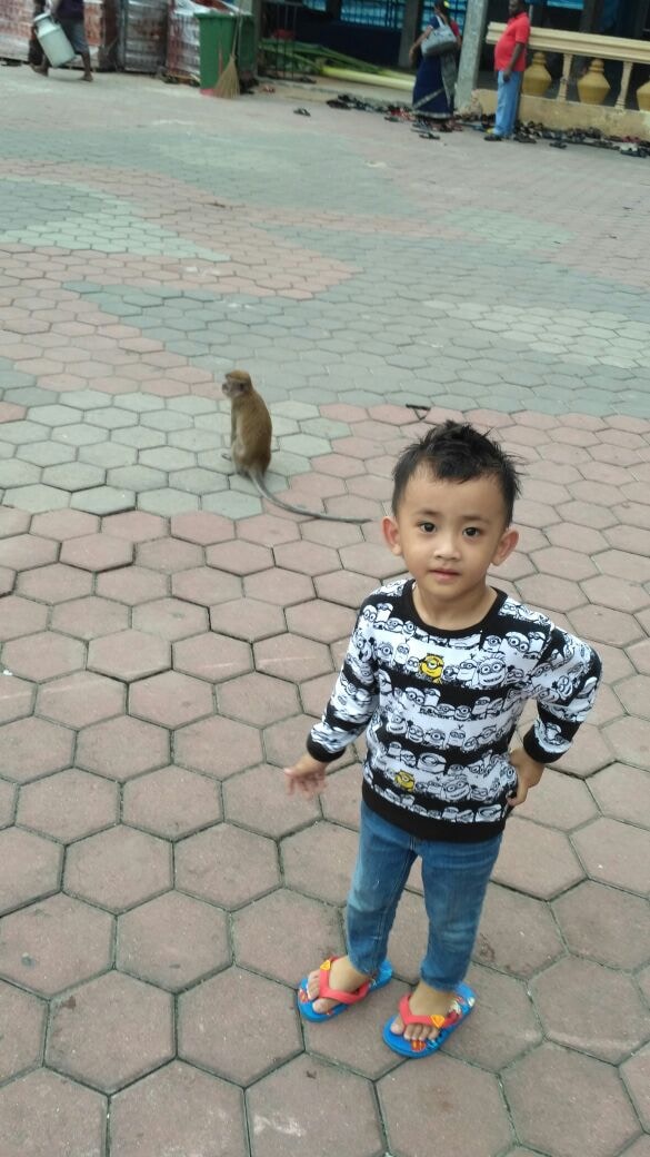 Go to ZEIN ZAIN's profile