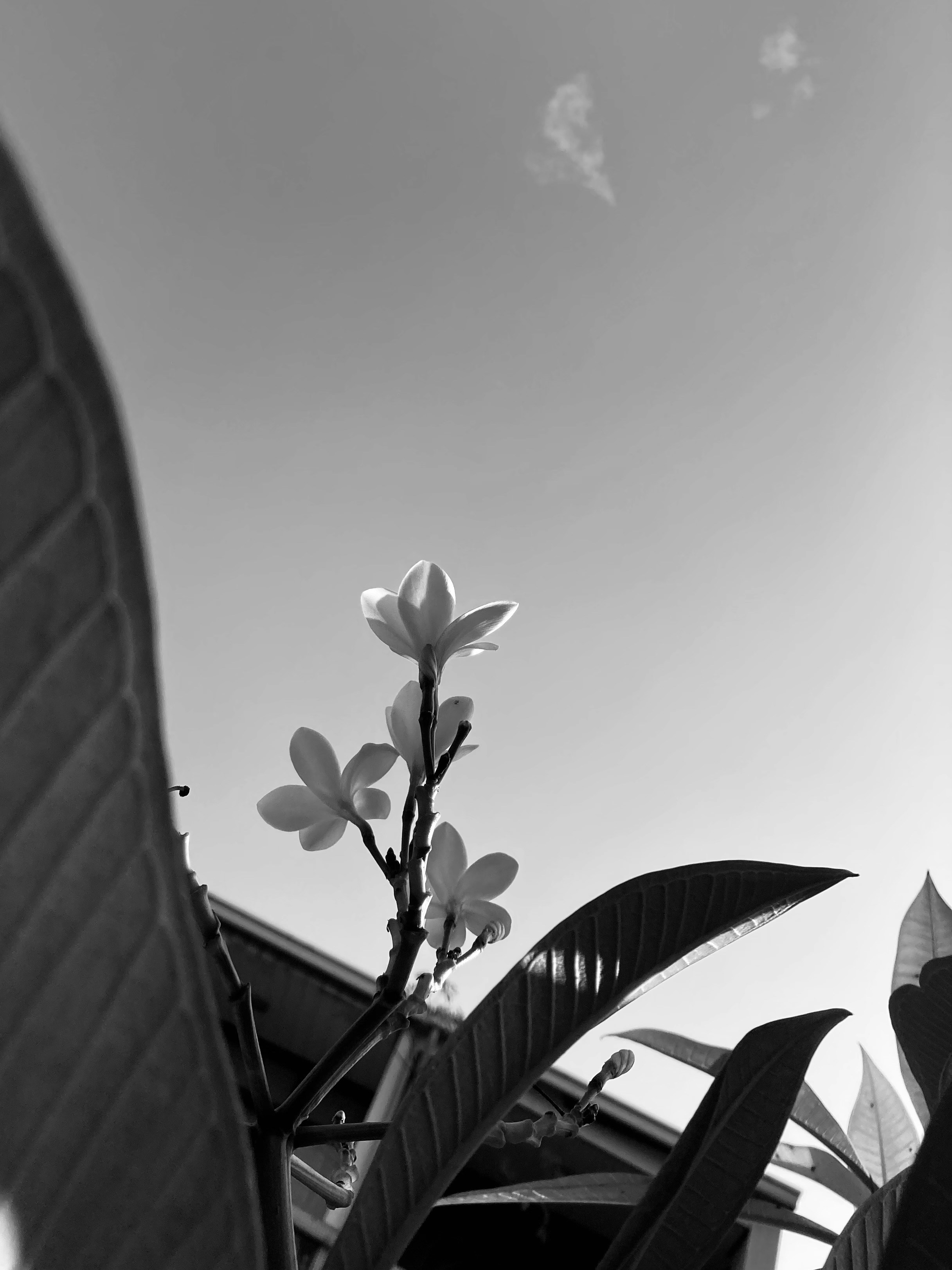 Ve al perfil de Alto Hsu