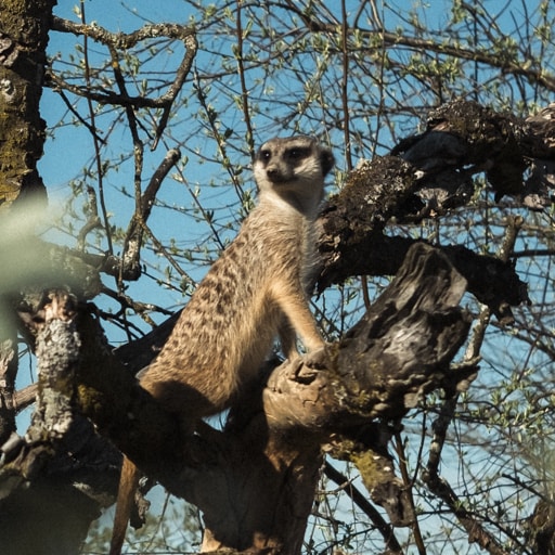 Go to Aleks's profile