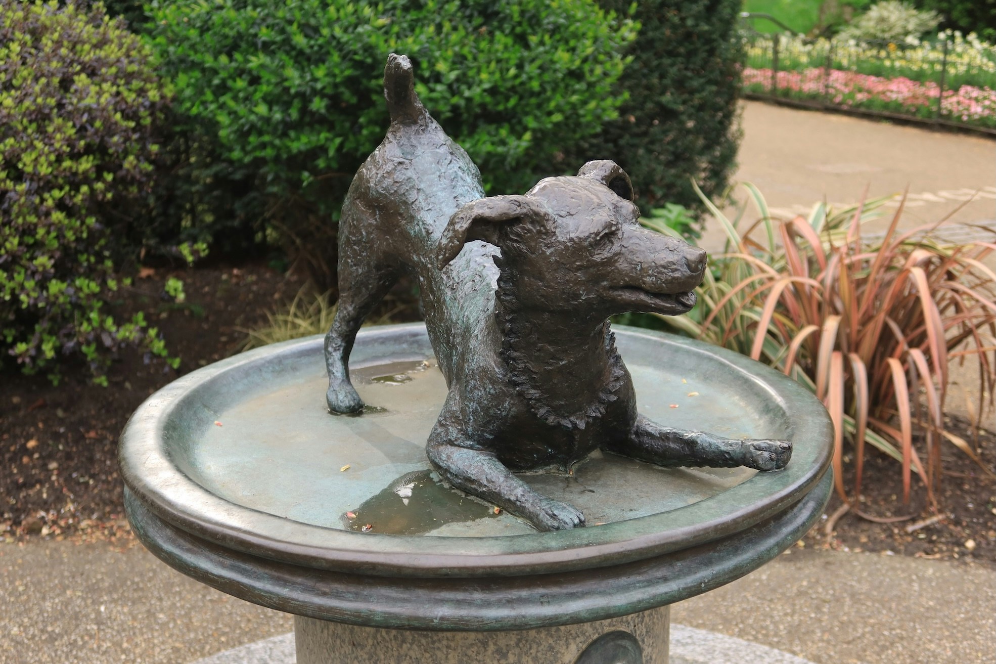 Go to Angeline Wagner's profile