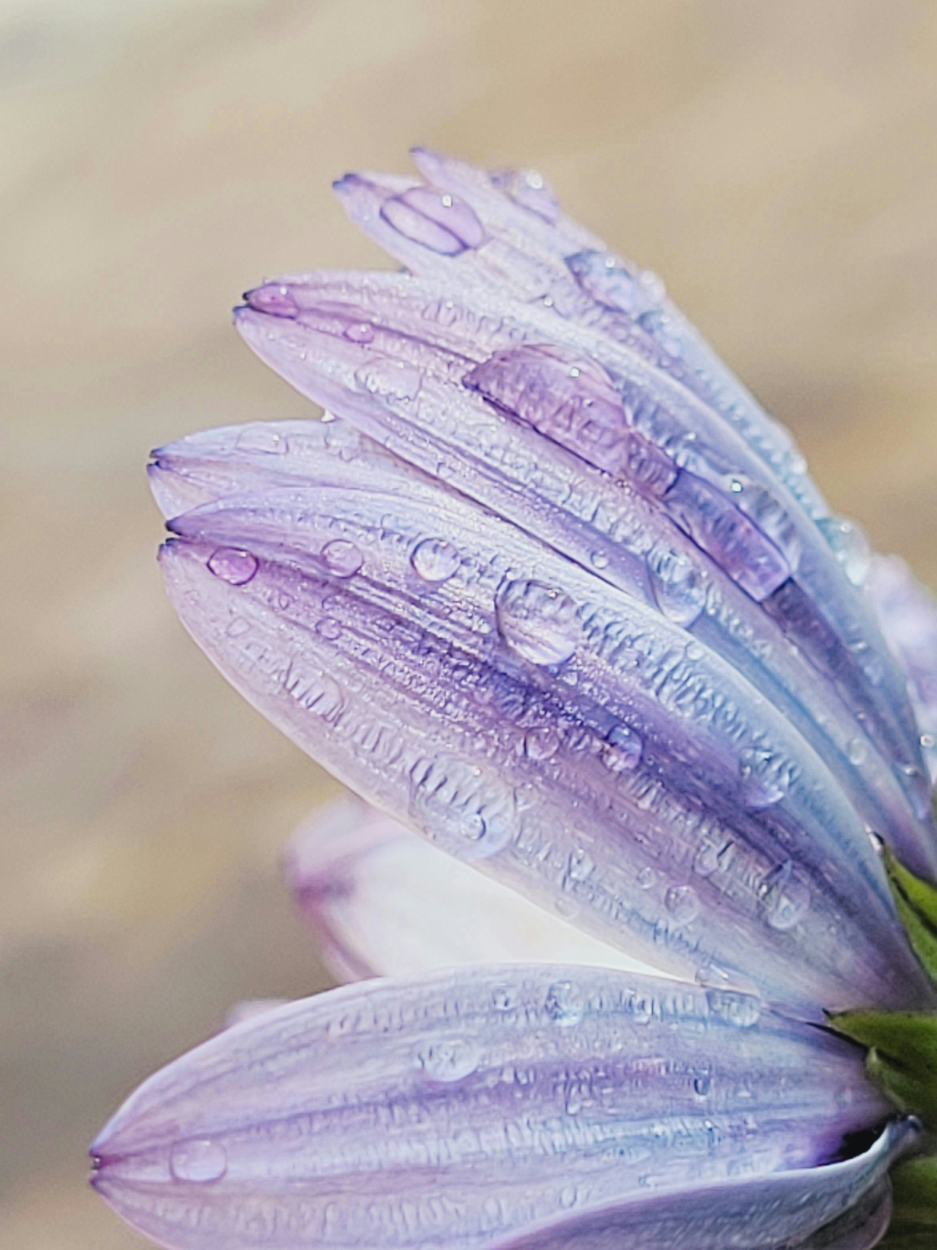 Go to daisies & dots's profile