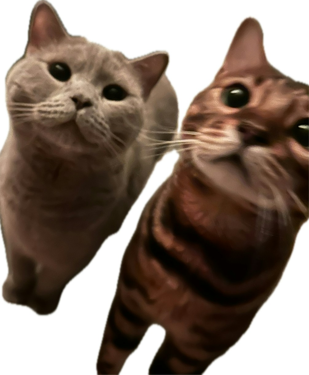 Go to Archie's profile