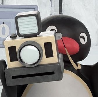 Zum Profil von Nicolas