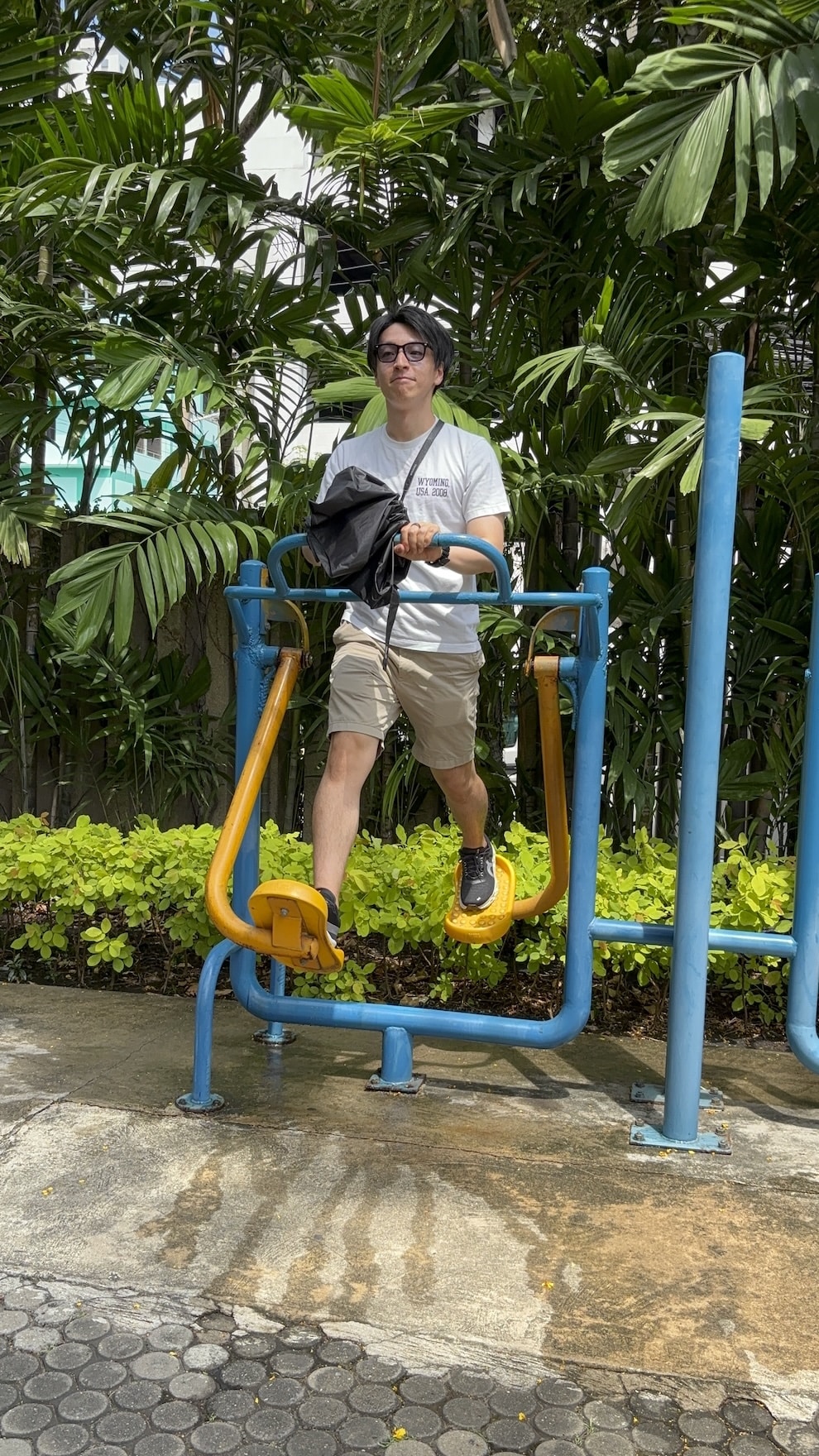 Ir para o perfil de Akihiko Sayo