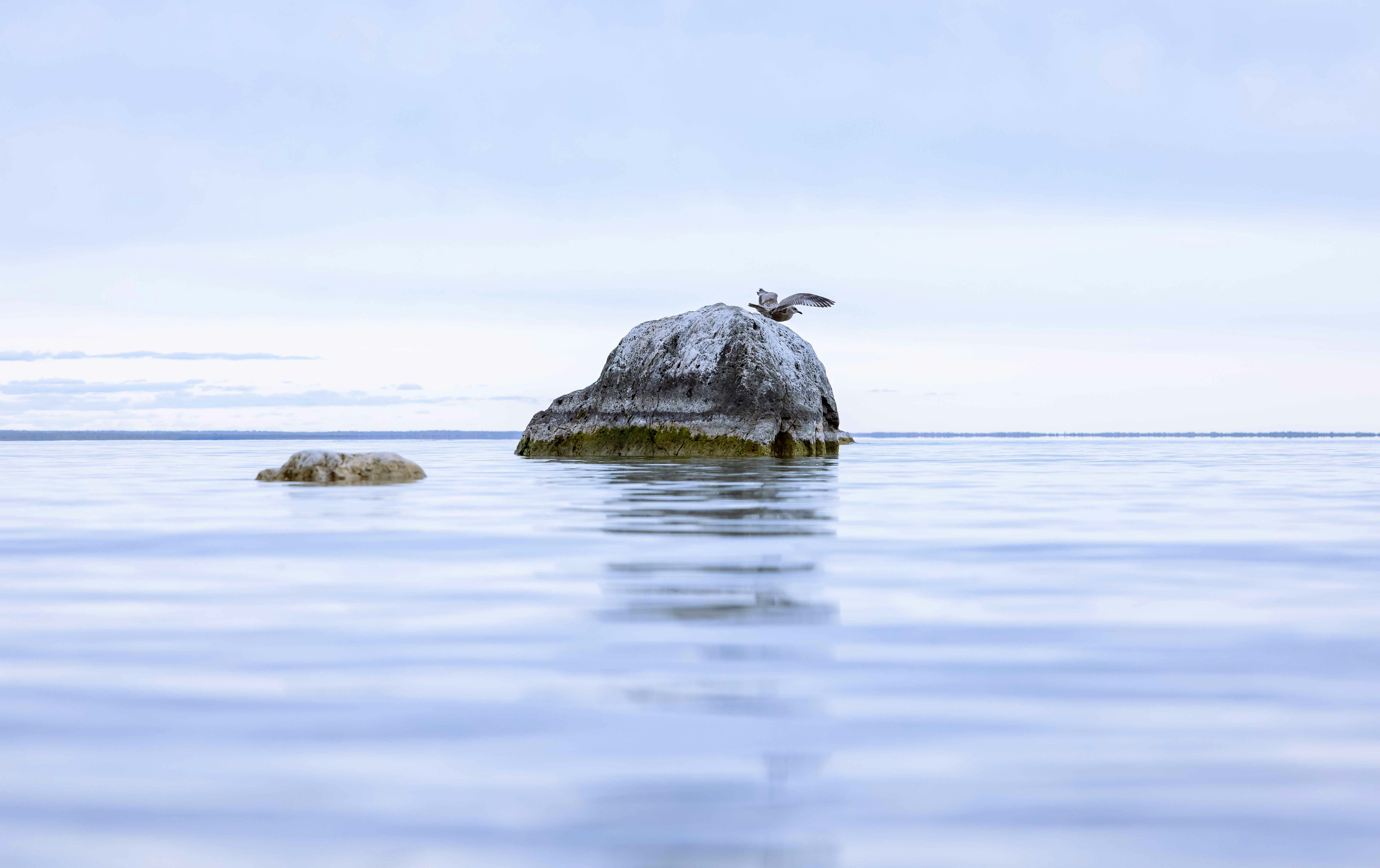 Go to Hao Chen's profile