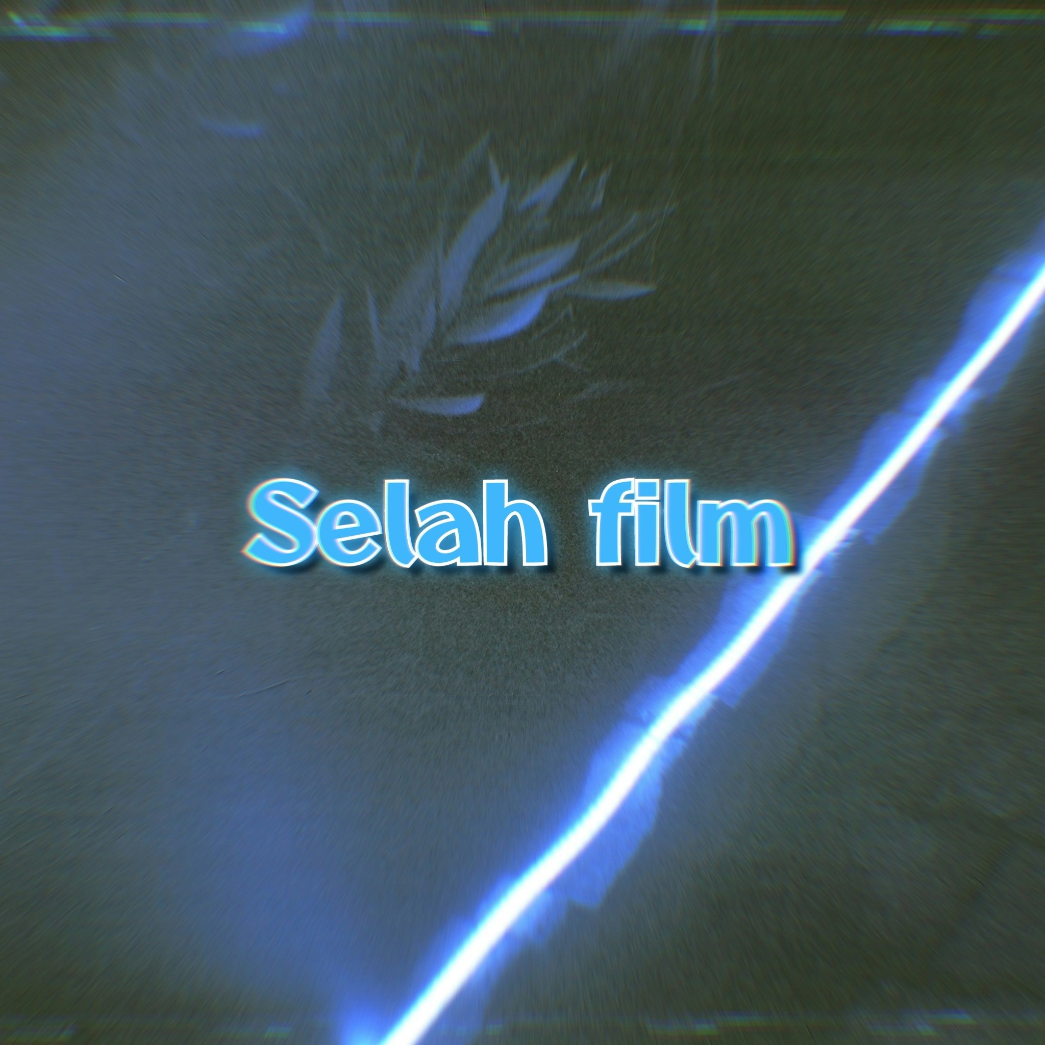 Zum Profil von Selahgraphy