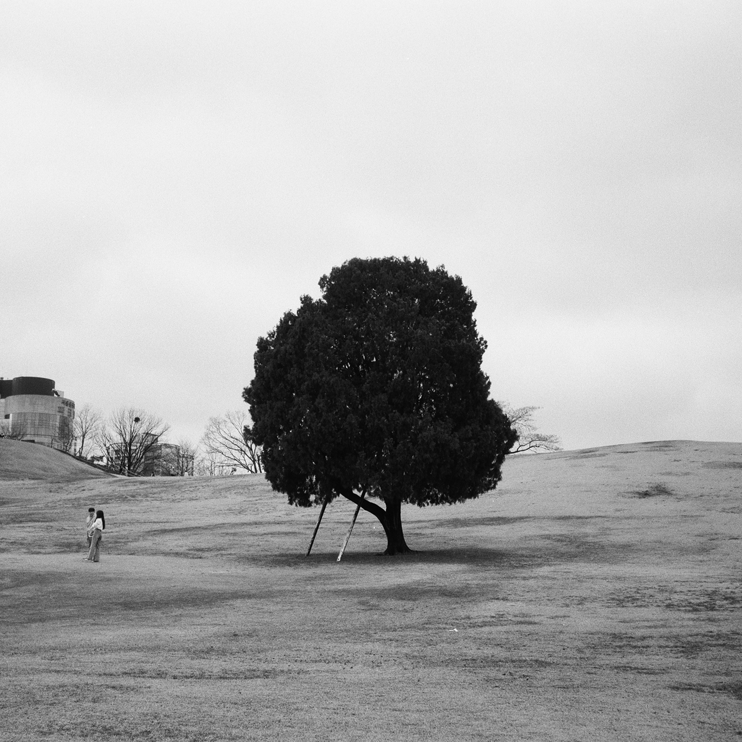 Go to jia yi's profile