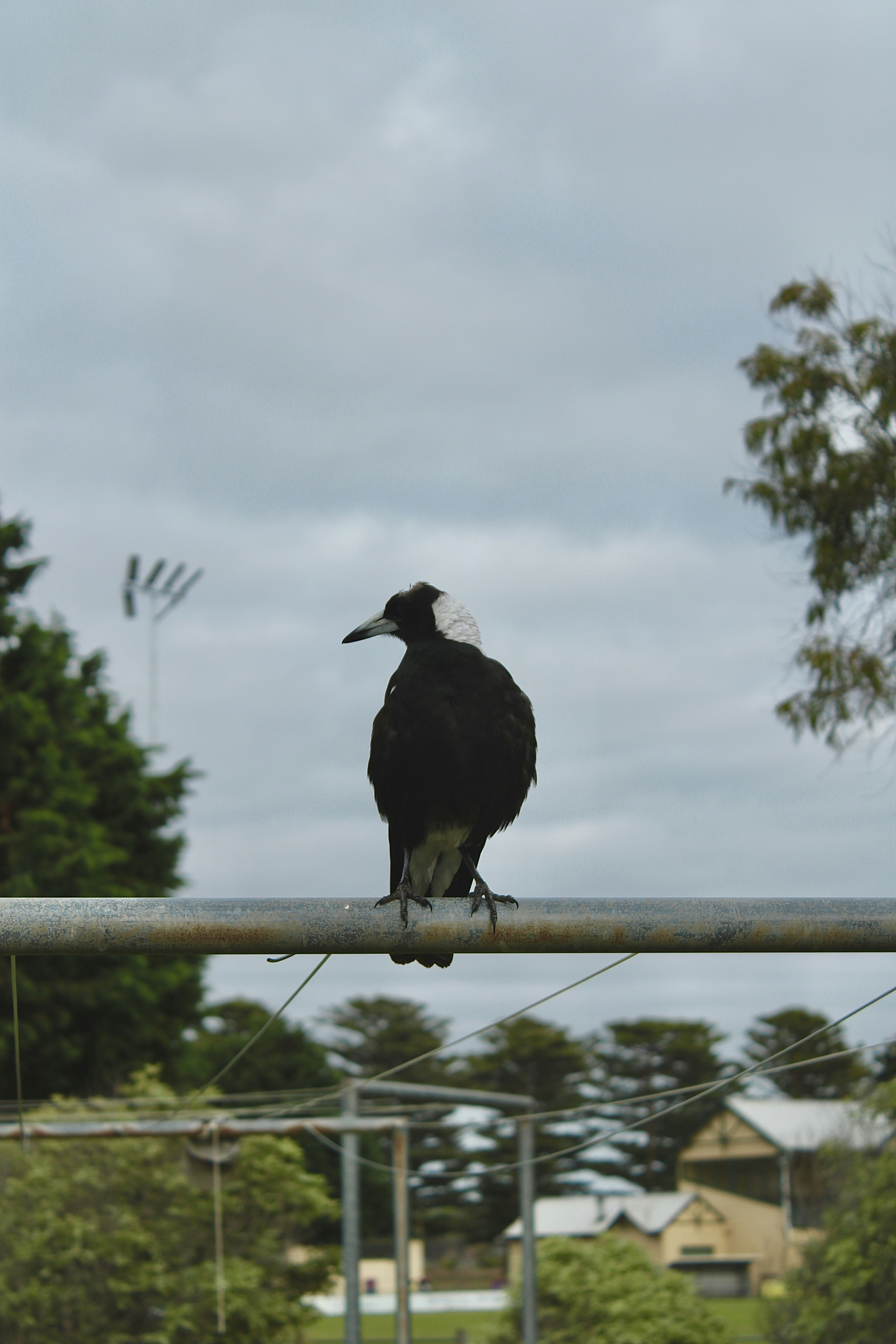 Zum Profil von Blake Addicott