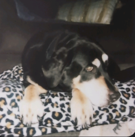 Go to Luke Robinson's profile