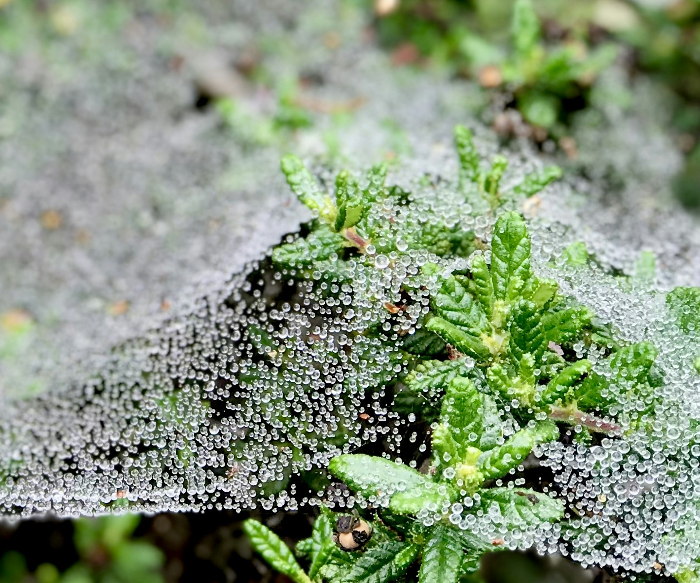 Go to Cam Carpenter's profile