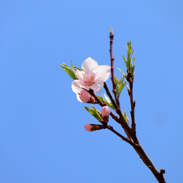 Go to Kibeom Jin's profile