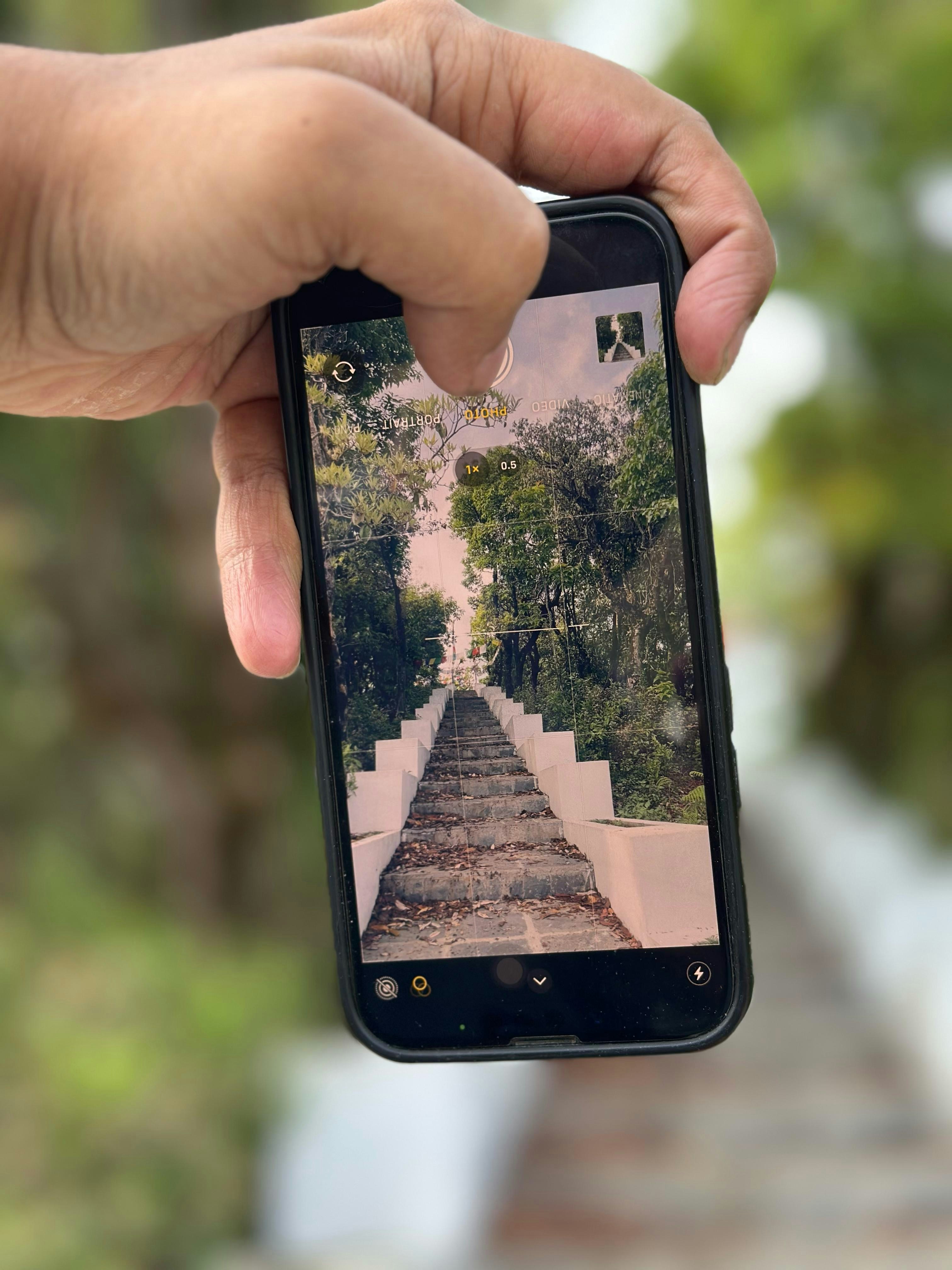 Go to Mahesh Singh Madai's profile