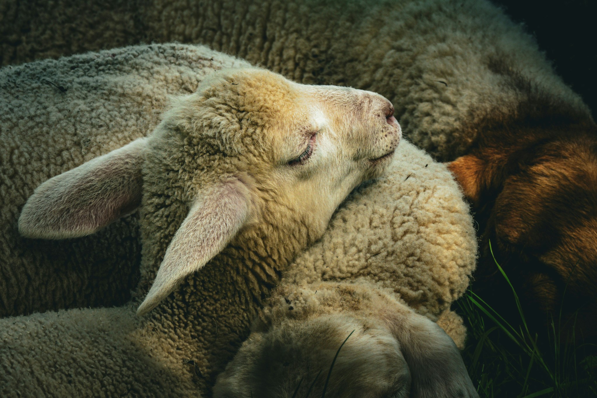 ק. פ.のプロフィールを見る