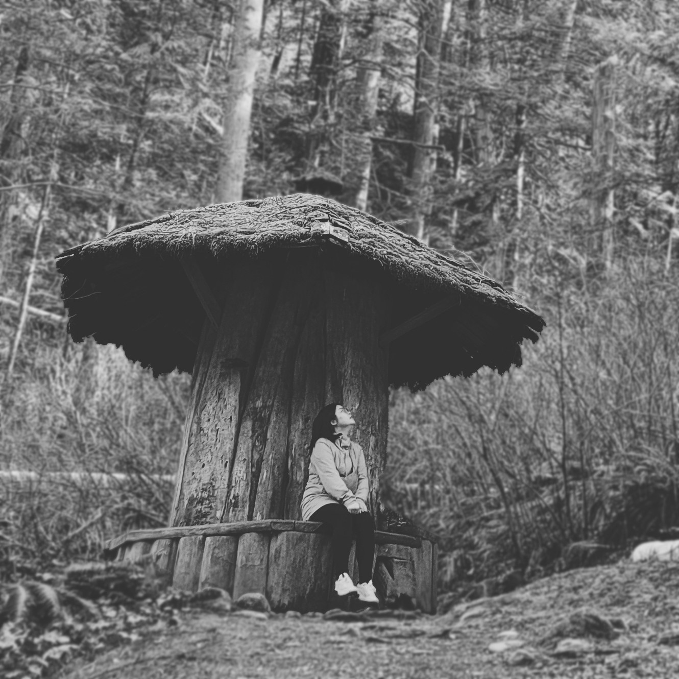 Vai al profilo di Zi Xi