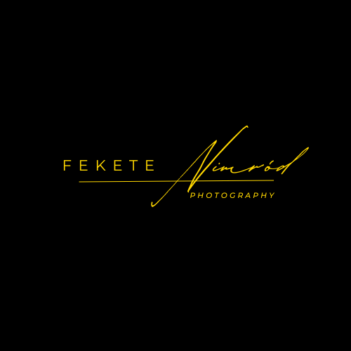 Go to Nimród Fekete's profile