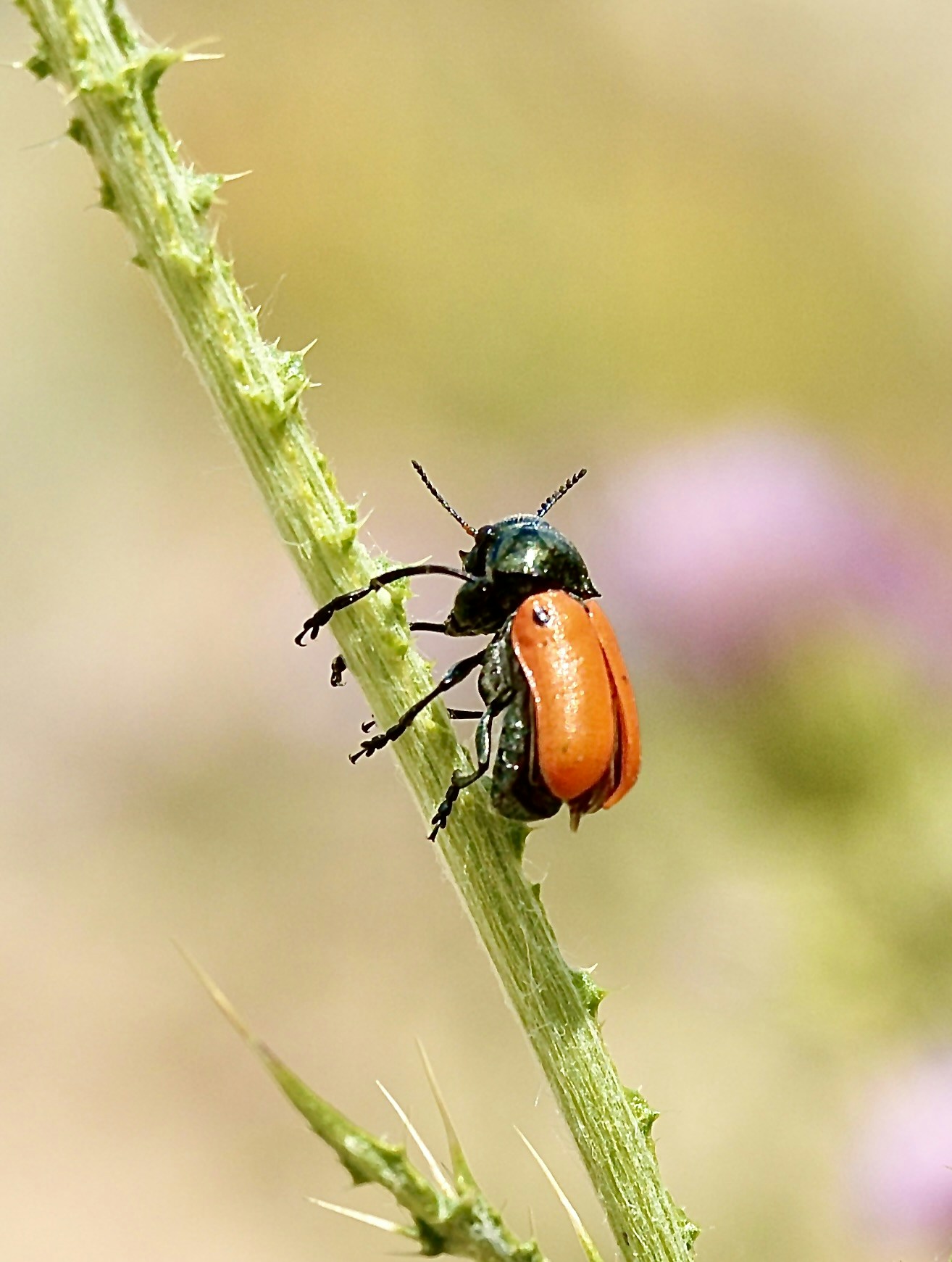 Go to Antonio Zarza's profile