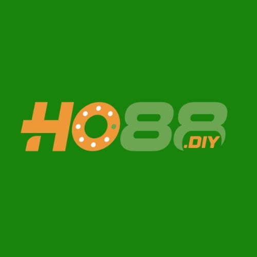 Avatar de l’utilisateur HO88 diy