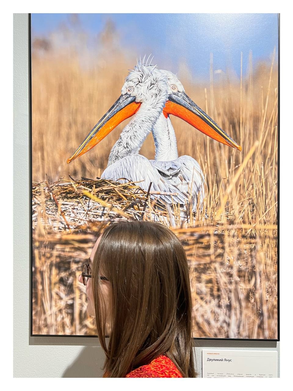 Go to Kseniya S's profile