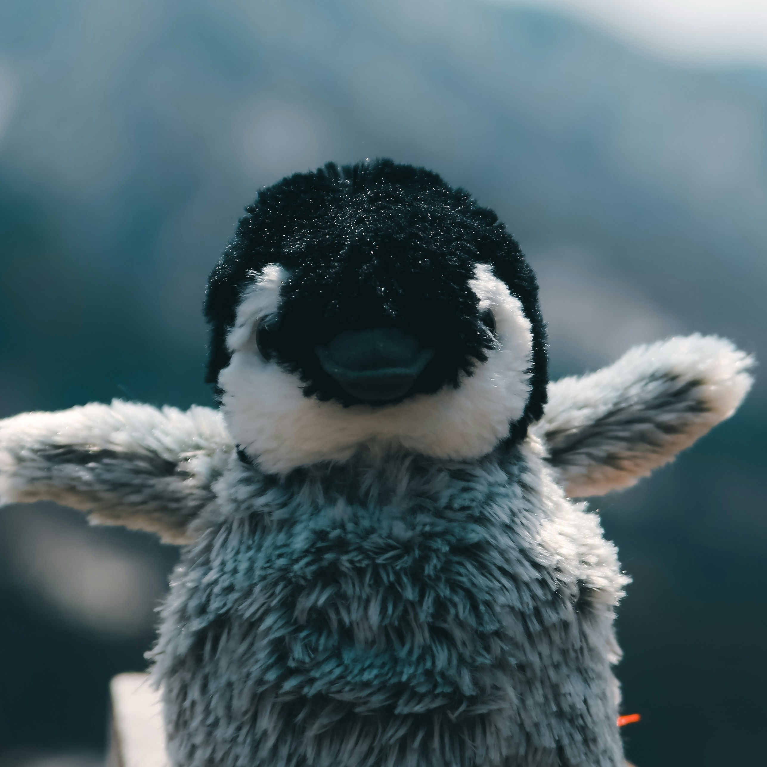 Go to Jimmy Whitson's profile