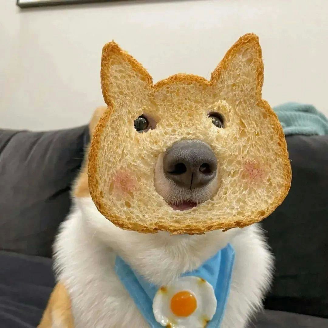 Zum Profil von shen wenjie