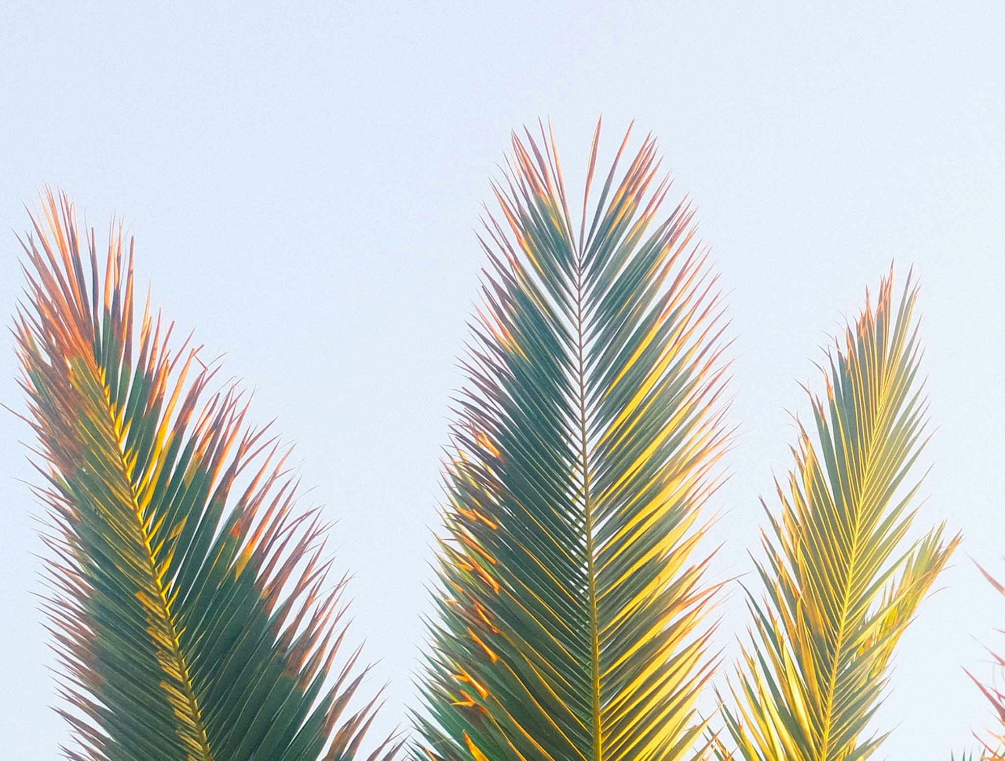 Go to Ingmar's profile