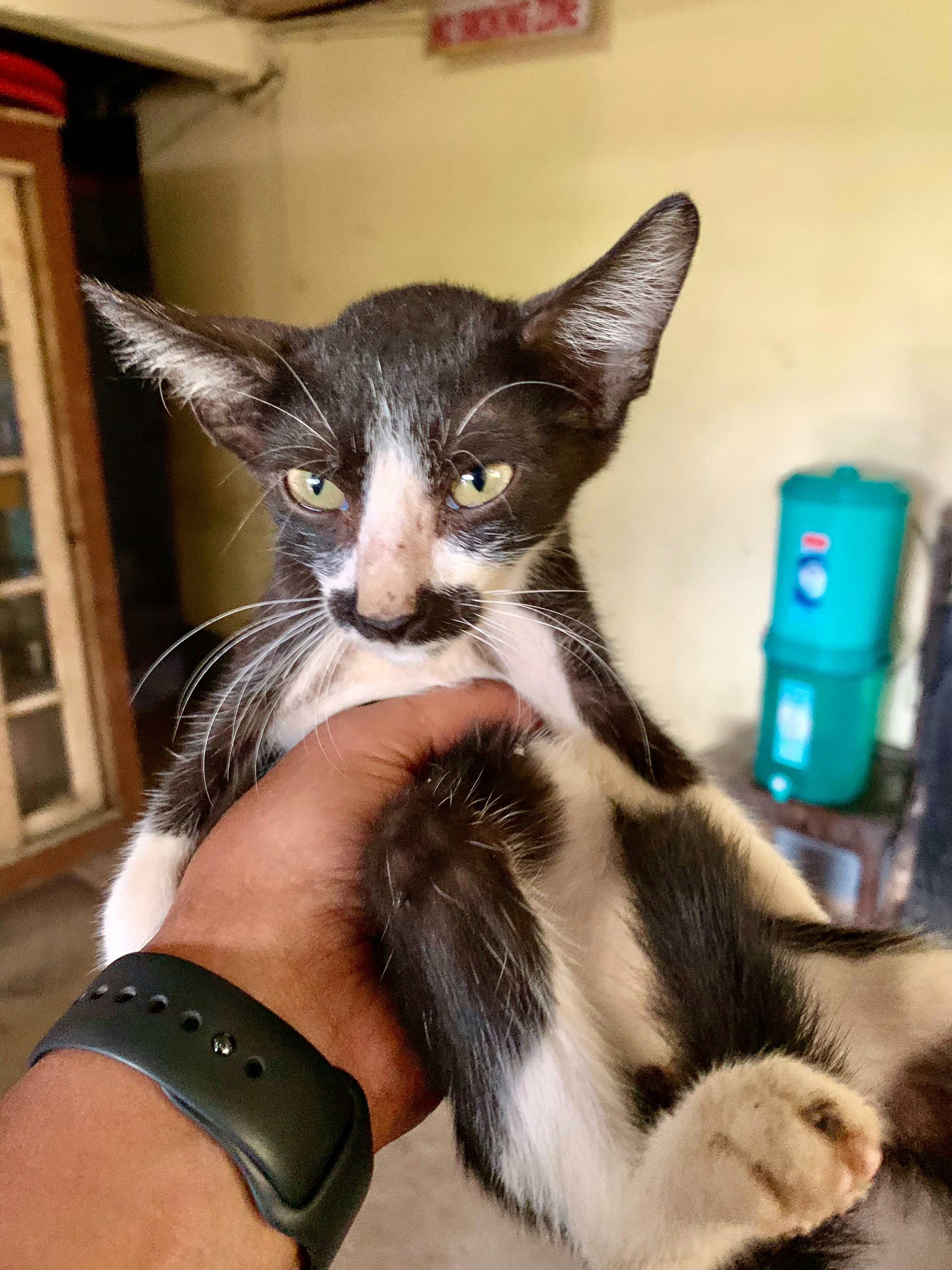 Go to STARLiGHT's profile