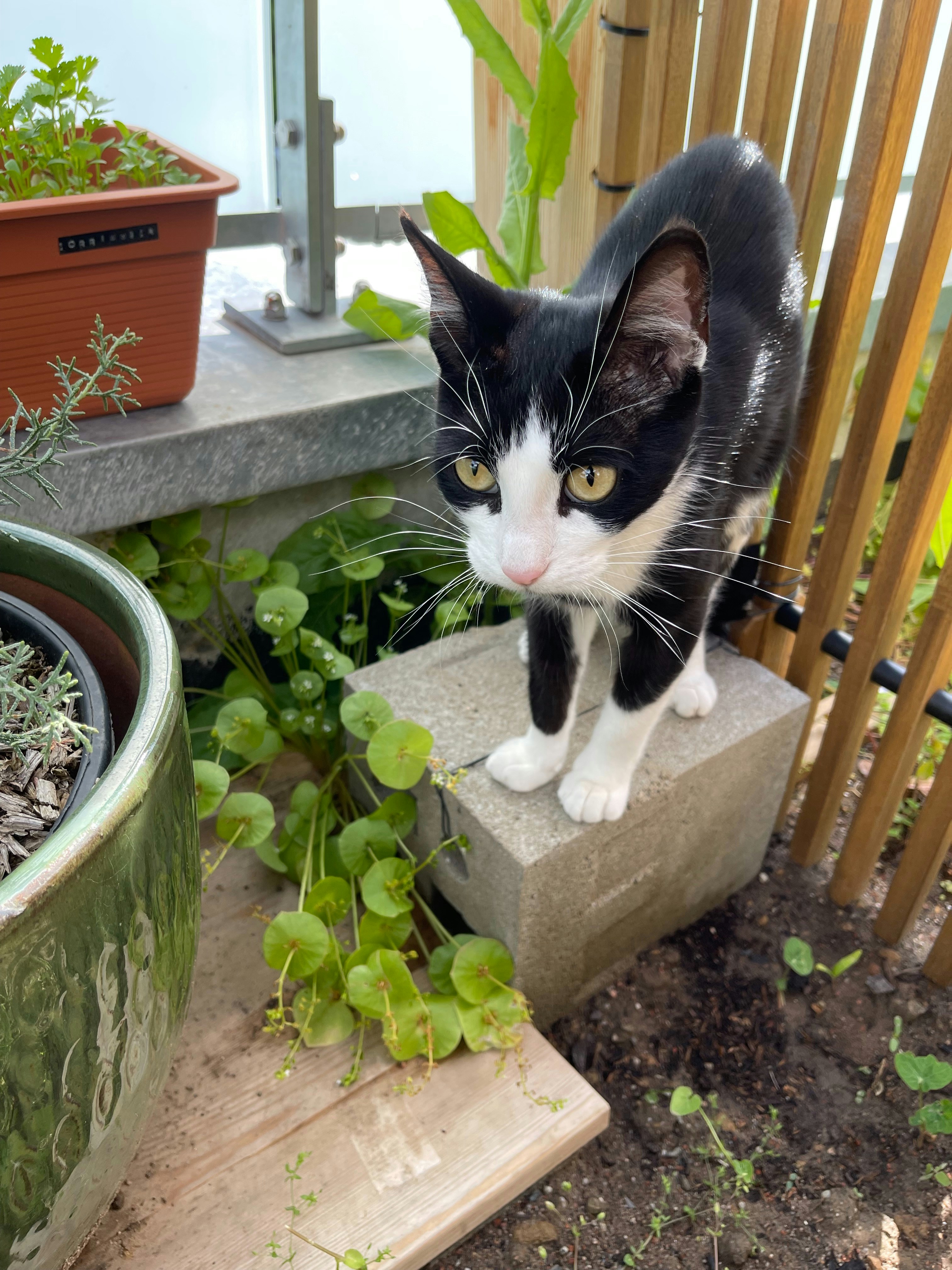 Vai al profilo di Paniz S.K.