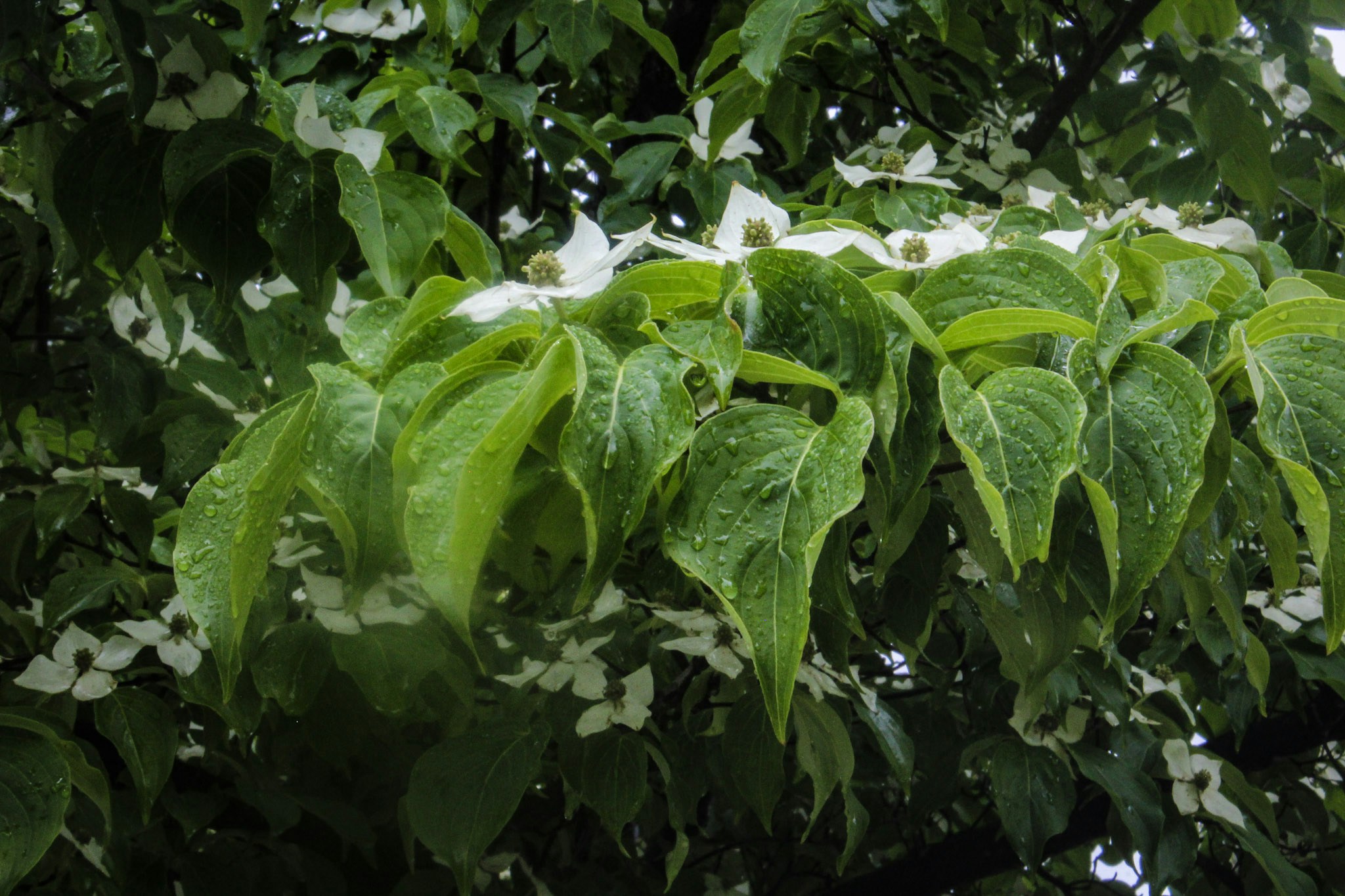 Go to Abigail Ter Borg's profile