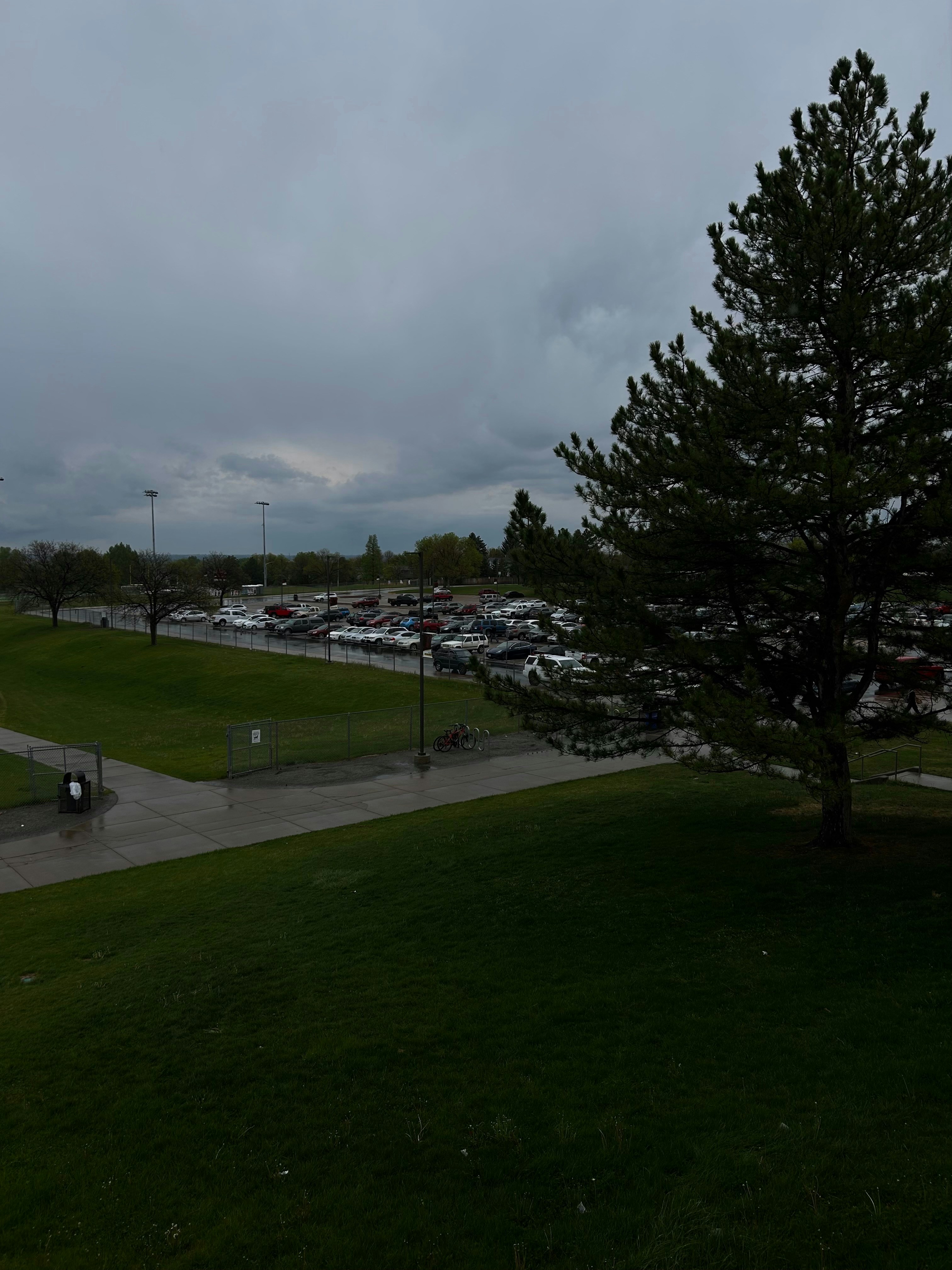 Go to Nataly Borrego's profile