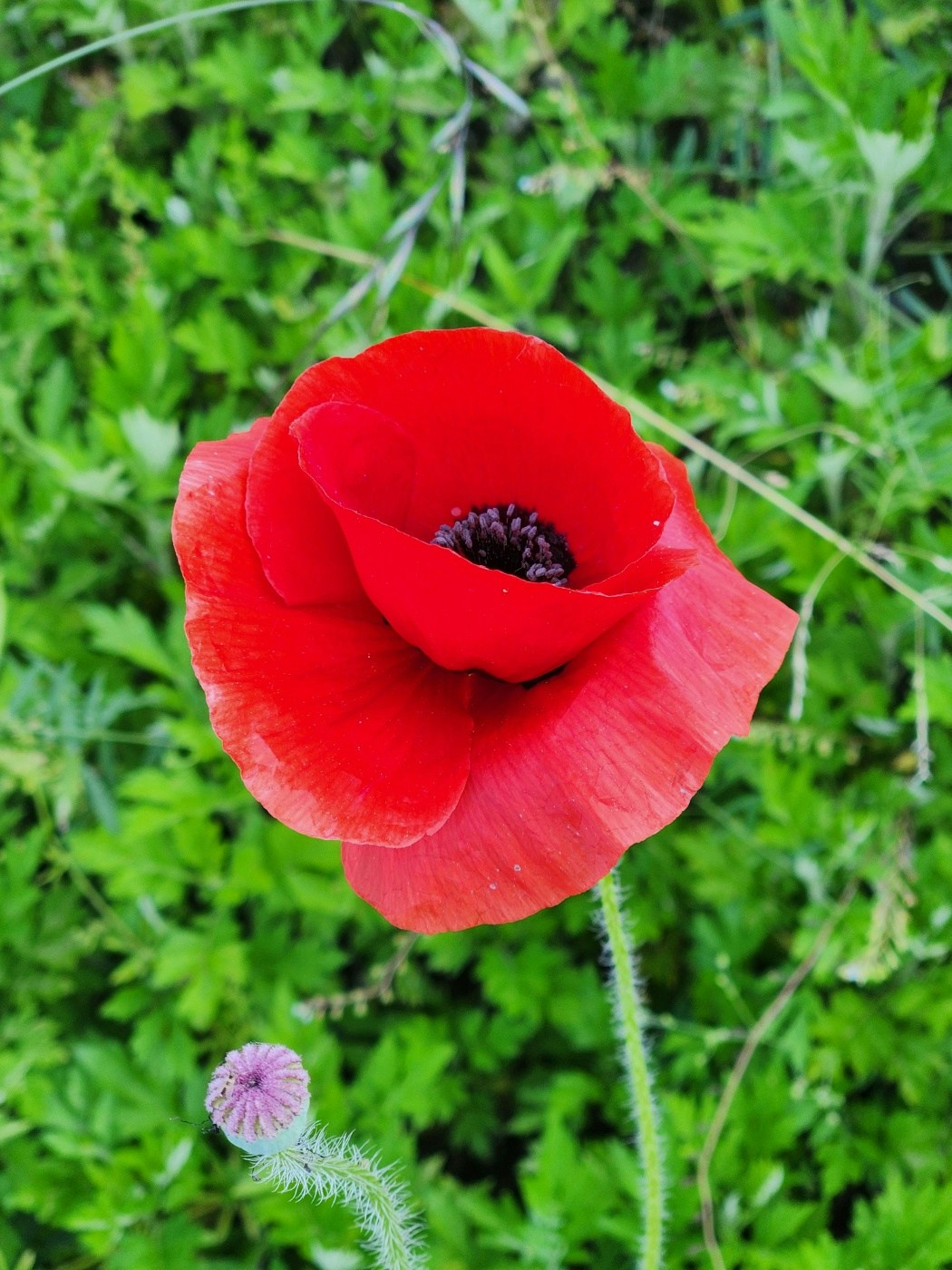 Go to Sooyeol LEE's profile