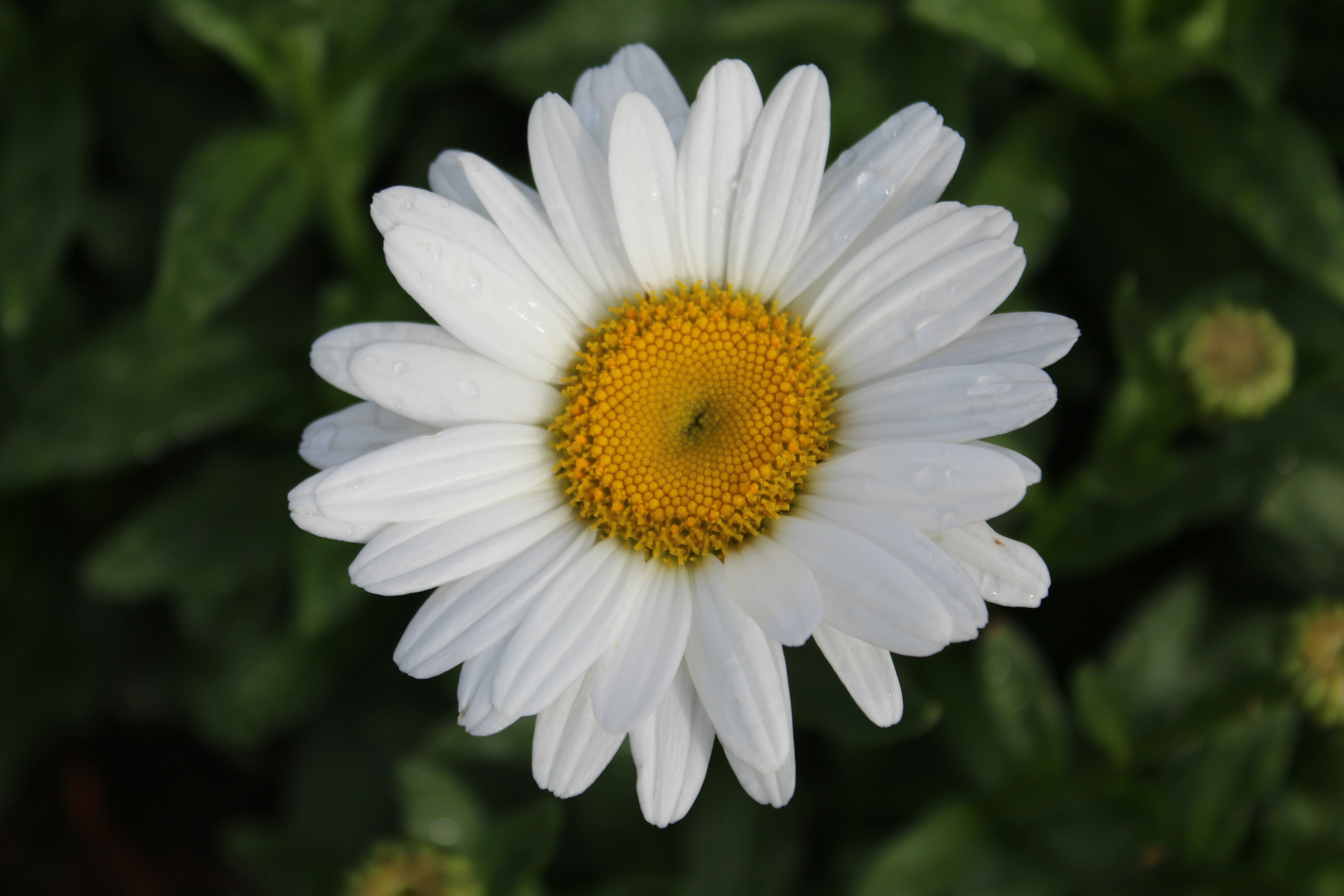 Go to Jimi A.'s profile