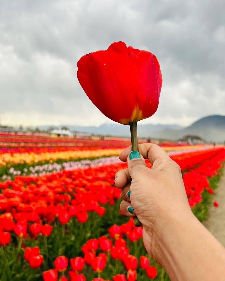 Go to Madhuri Mohite's profile