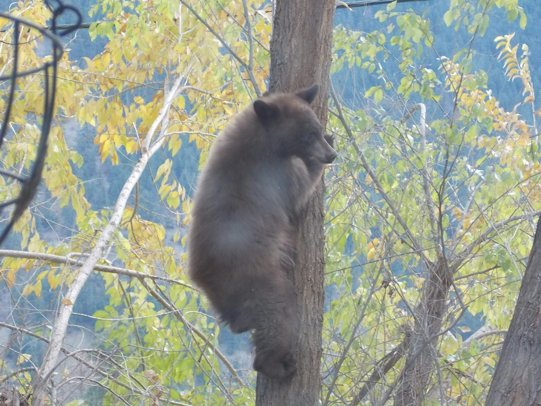 Go to Andre da Silva's profile