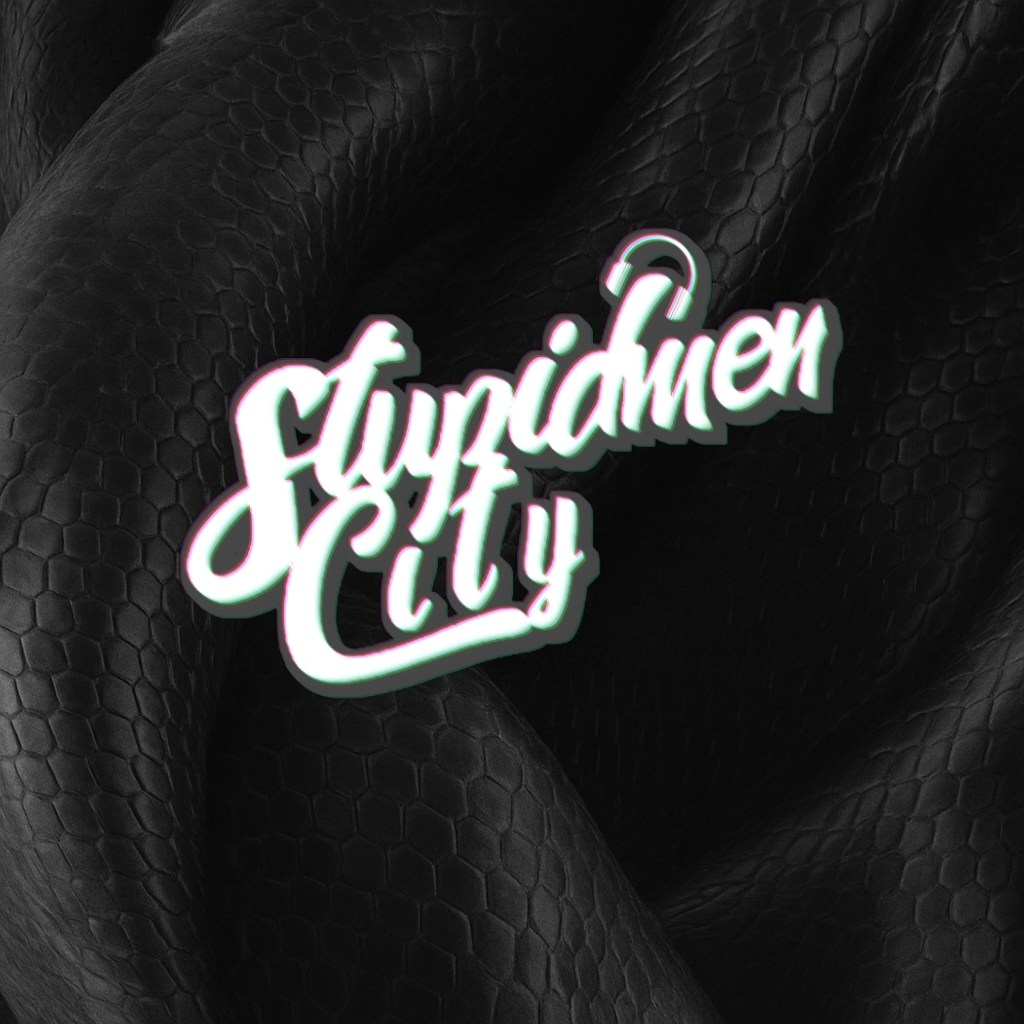 Zum Profil von Stupidmen City