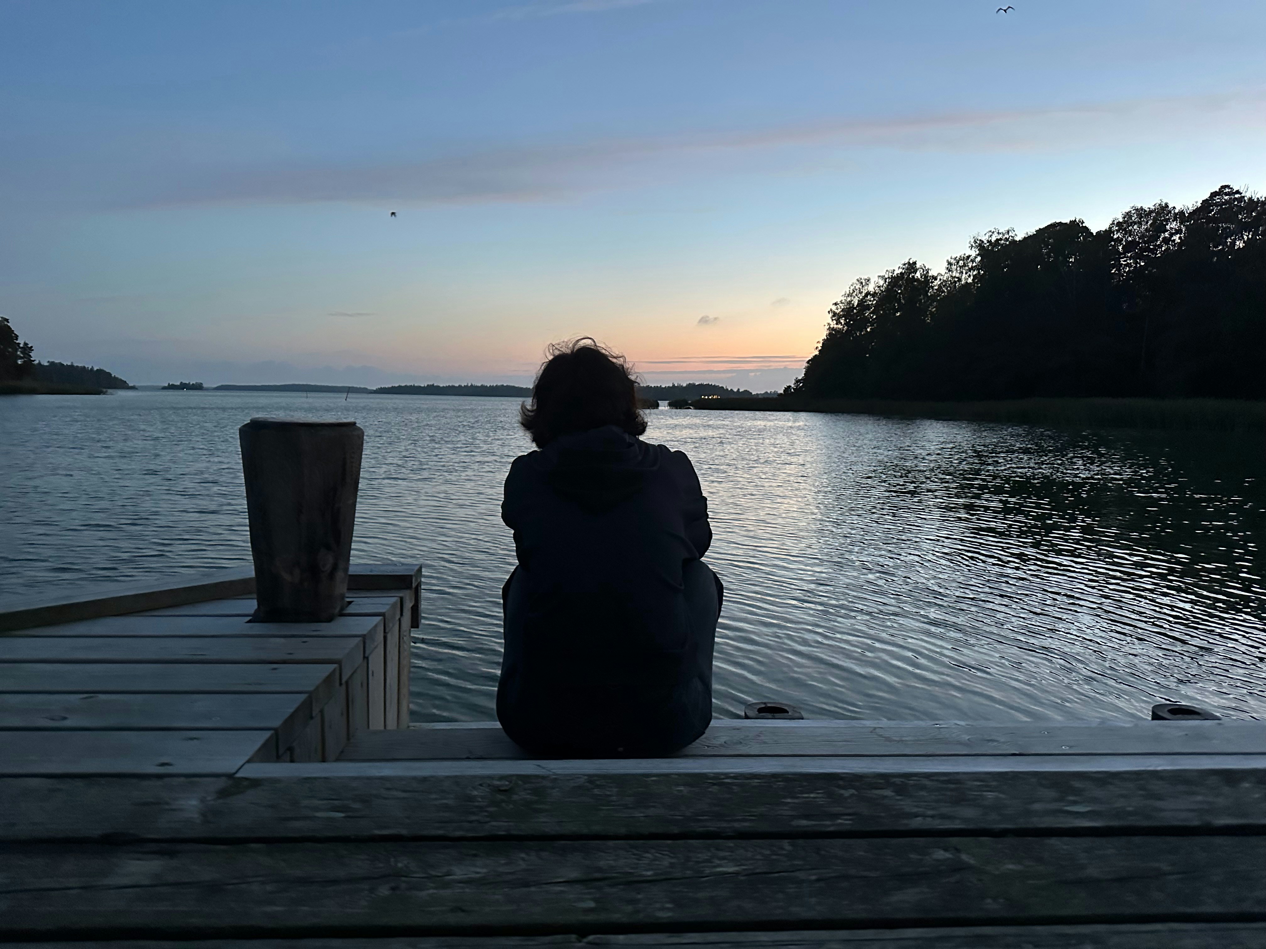 Zum Profil von Parastoo Pourmoghim