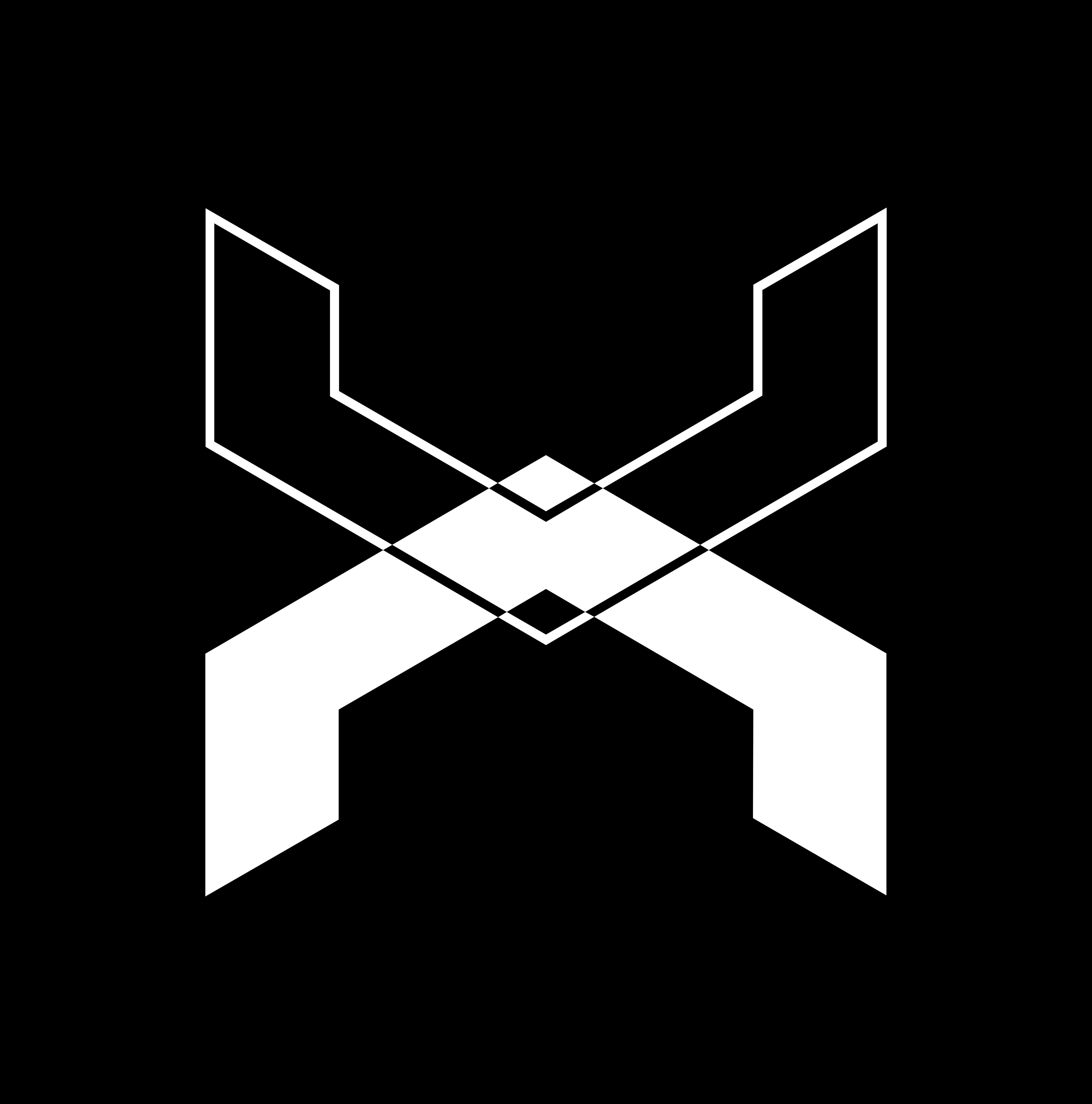 Avatar of user Bjorn van Lier