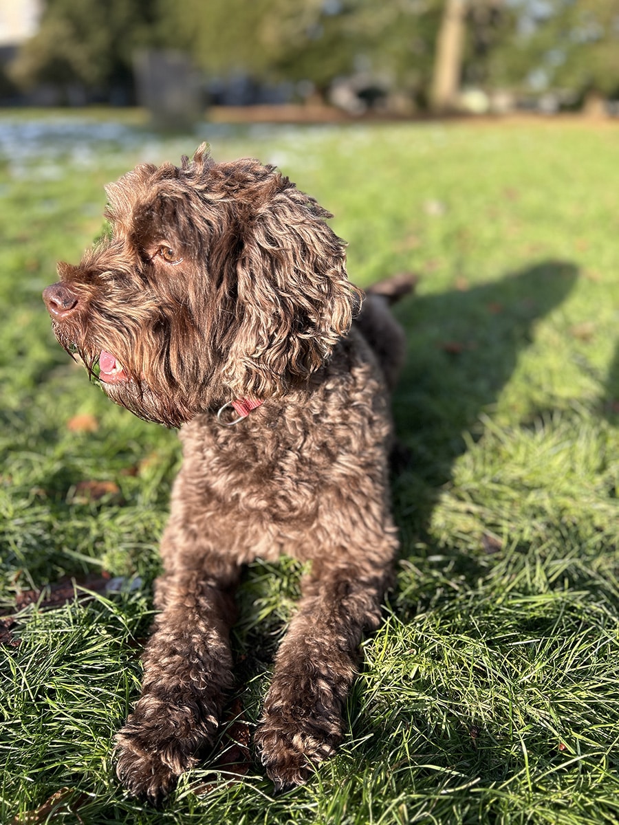 Go to Neil Bowness's profile