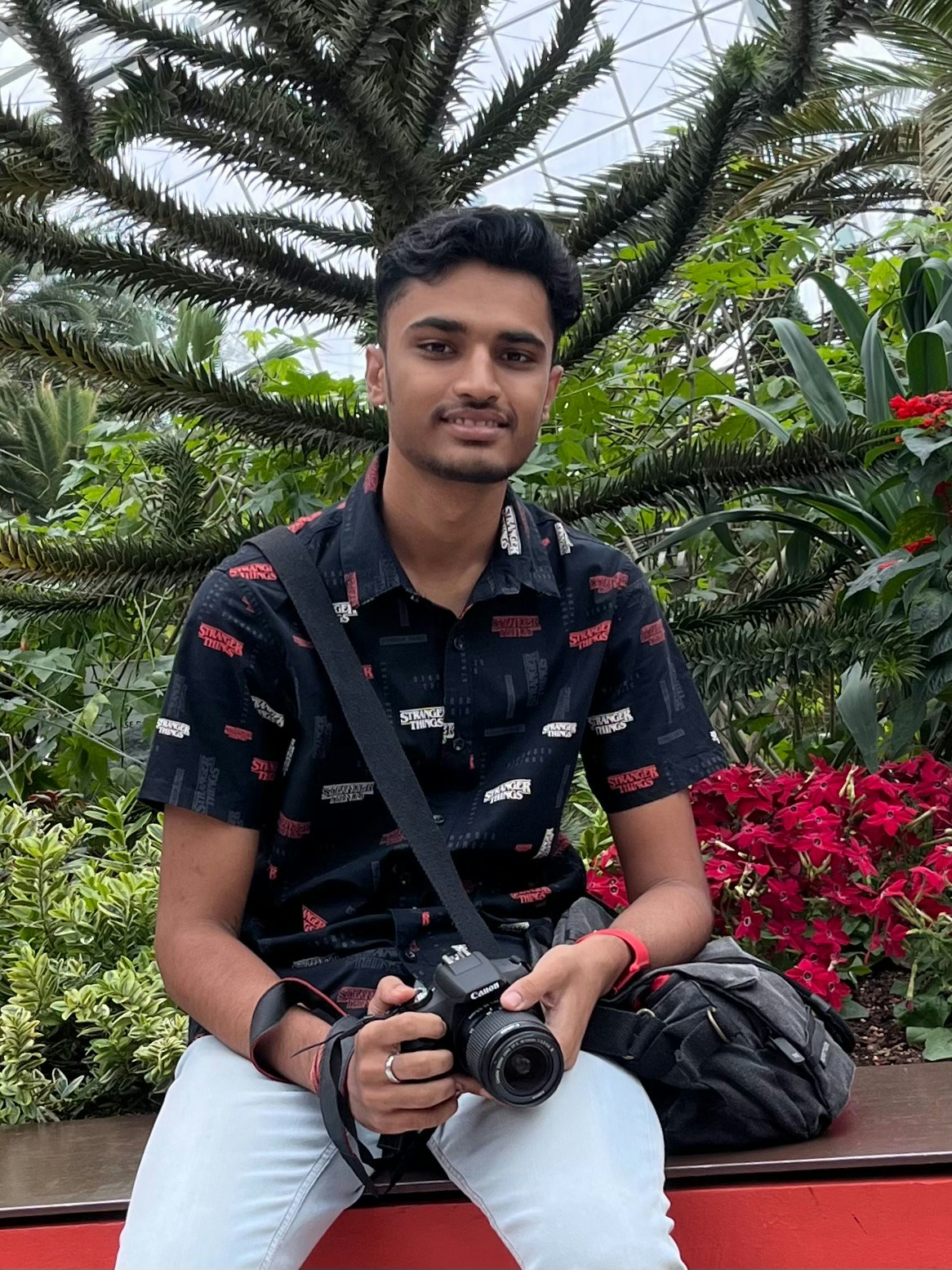 Accéder au profil de Sreevishnu Nair