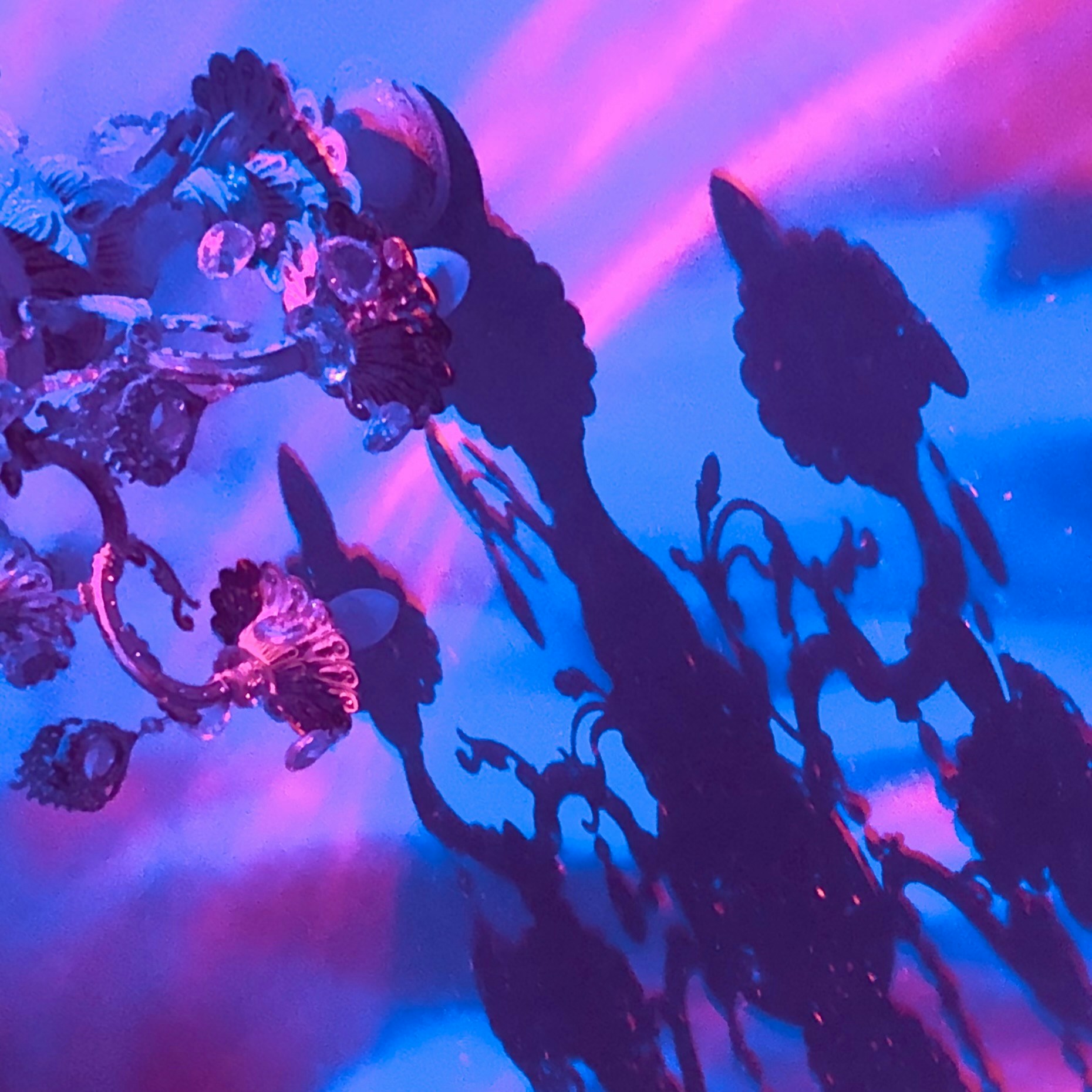 Zum Profil von Katherine Kromberg