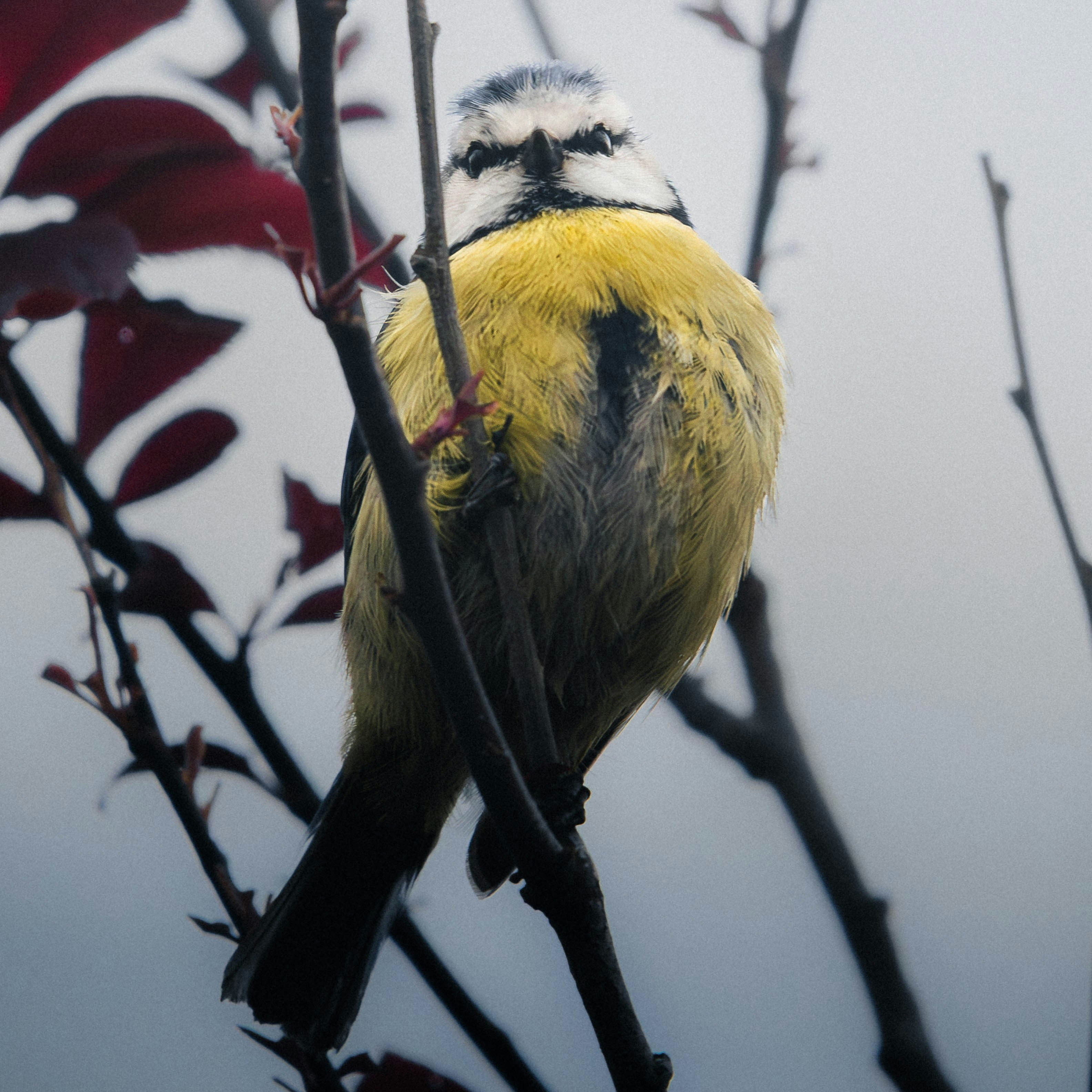 Ve al perfil de Erwann Stephanne