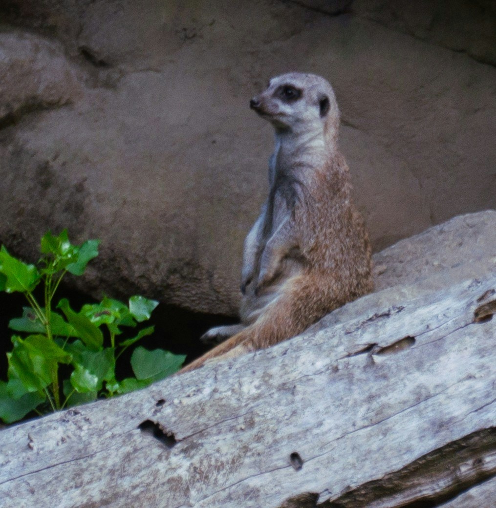 Go to Andrea Pedruzzi's profile