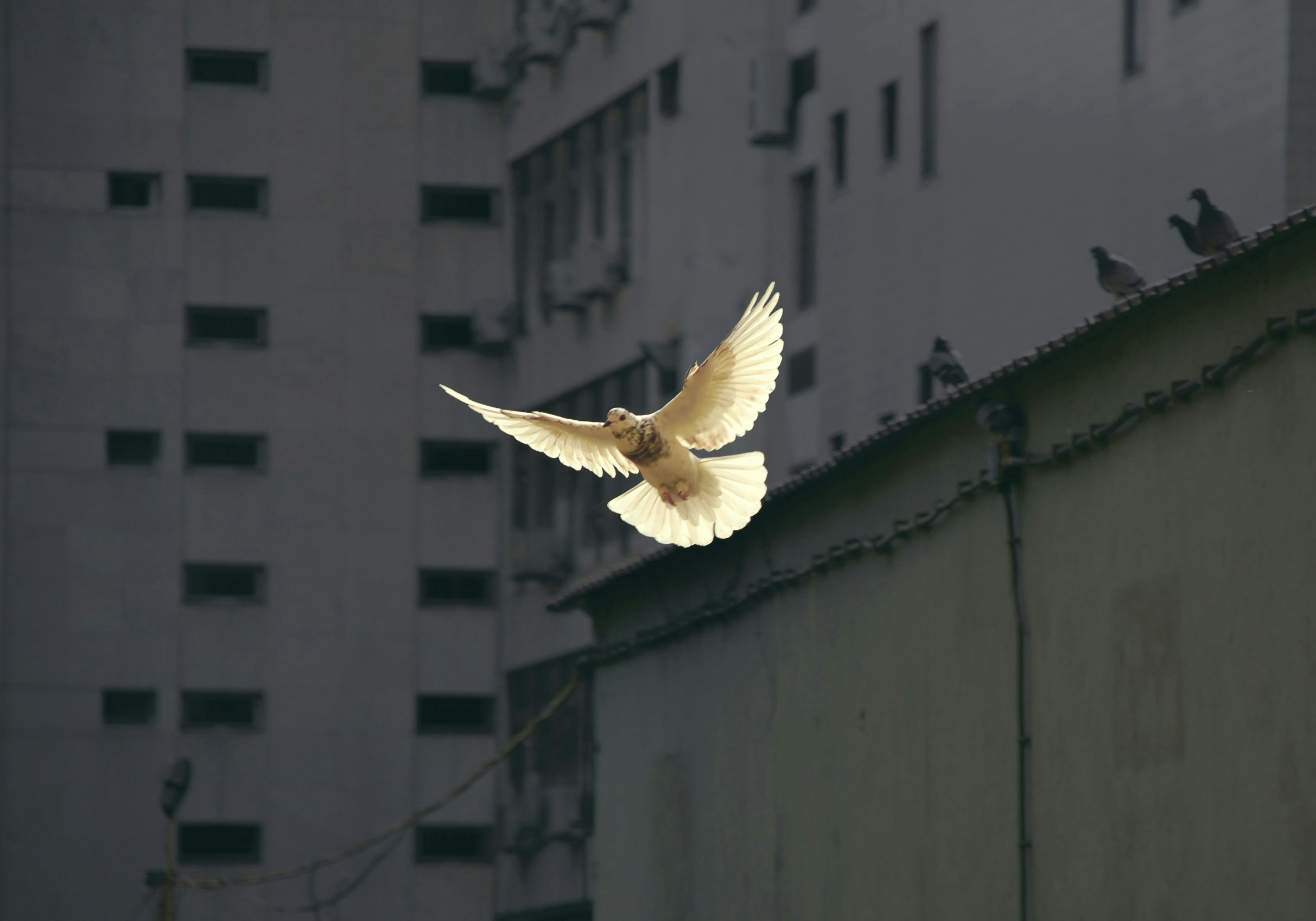 Go to Yana Subot's profile