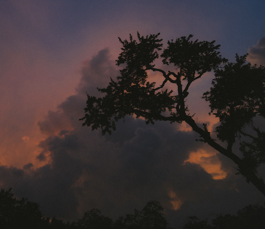 Go to Suica's profile