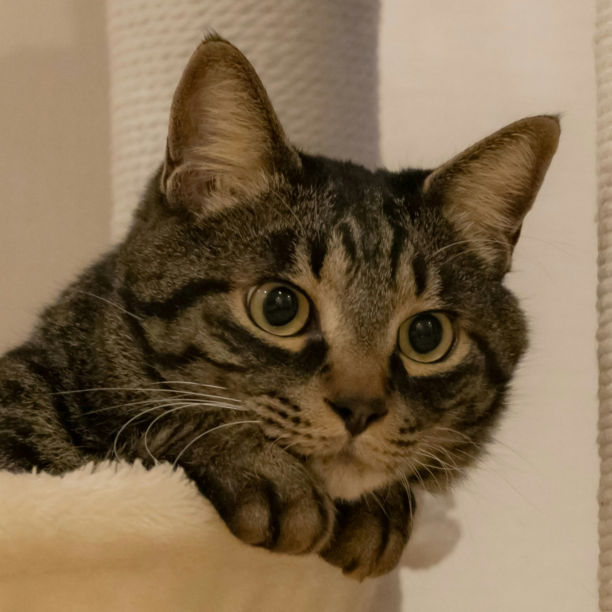 Go to Wide Snow's profile