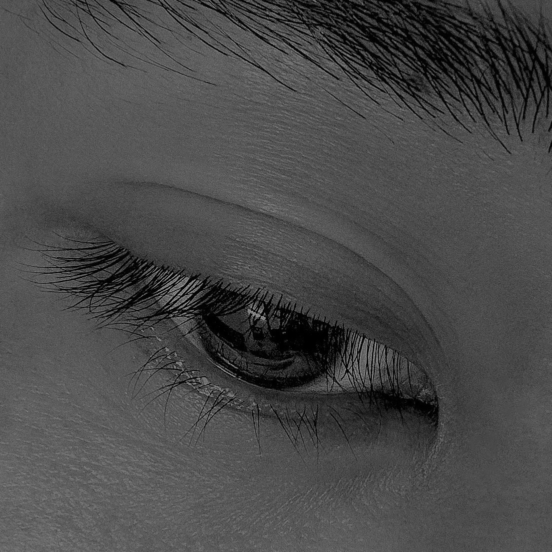 Ve al perfil de q u i n g u y e n