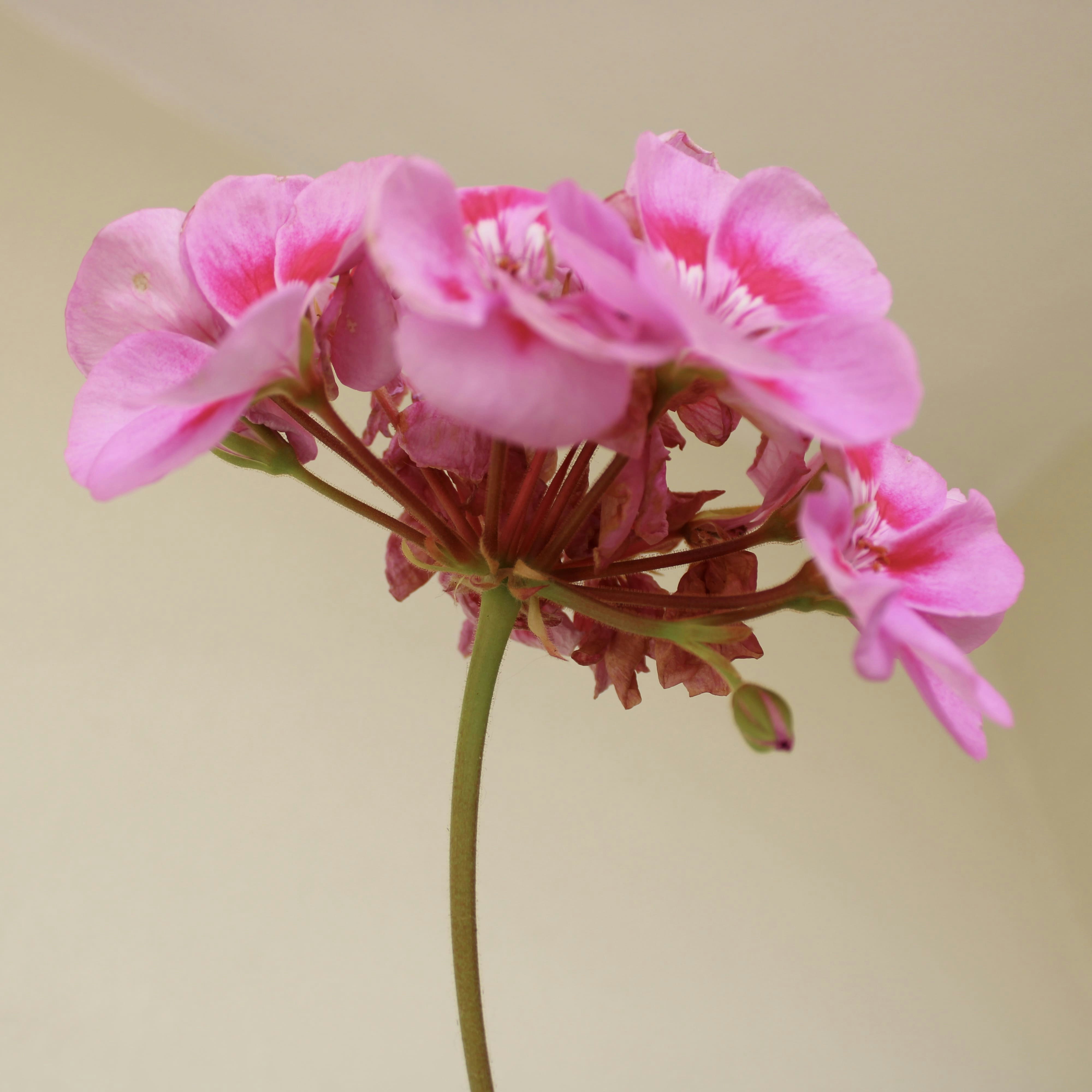 Zum Profil von Susana Bartolome