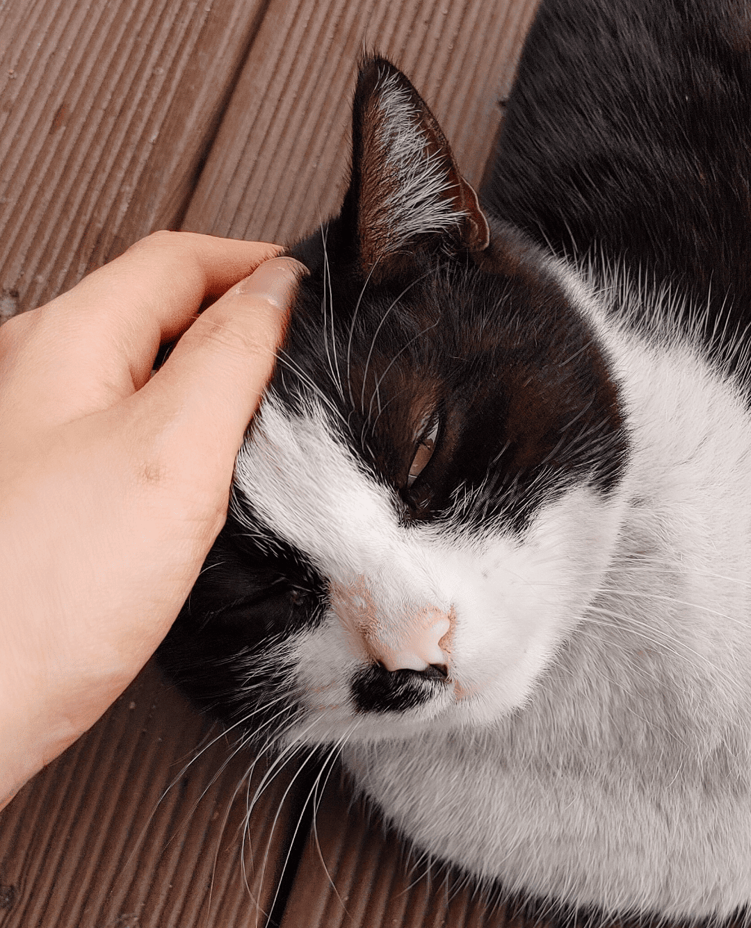 Go to nine B's profile