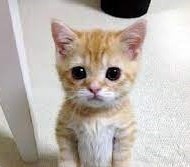 Go to flower pot's profile