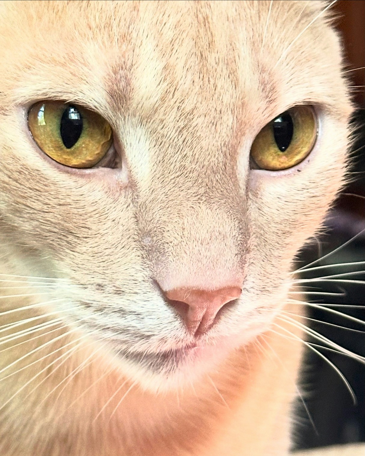 Go to Eli Luna's profile