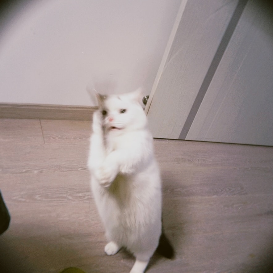 Zum Profil von Louis T